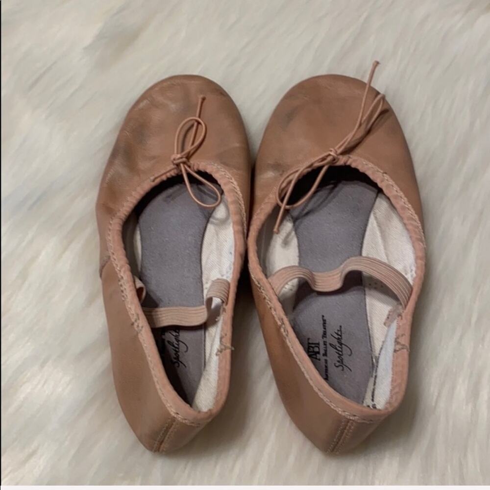 American Ballet Theatre Ballet Slippers